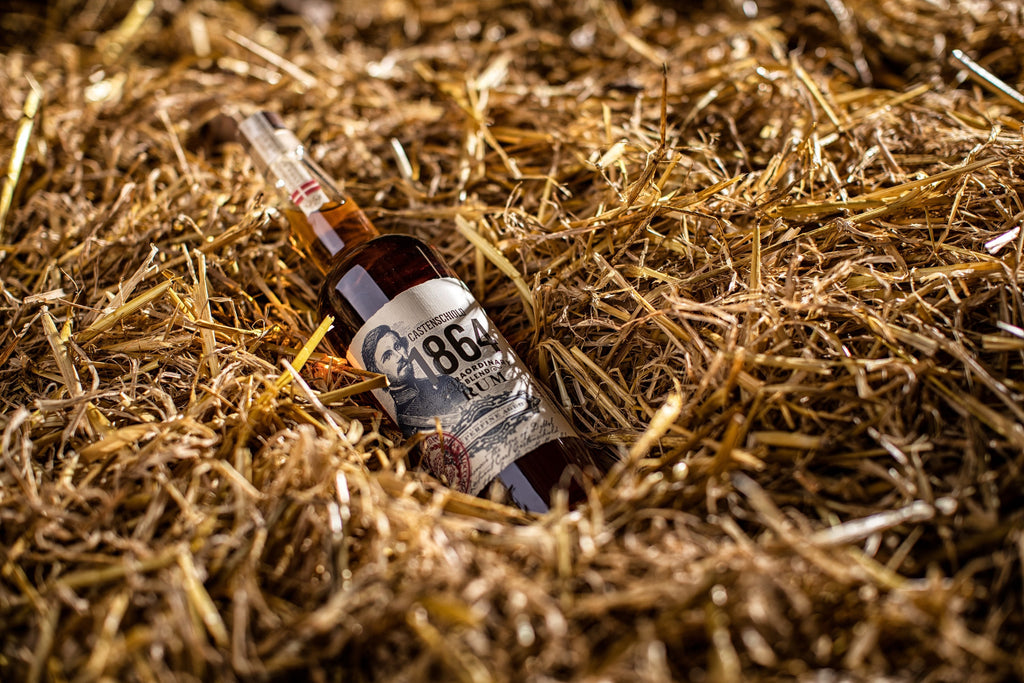 Castenschiold 1864 Rum